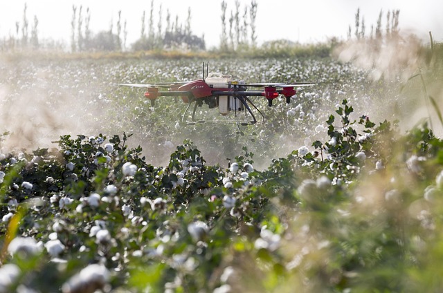 Agriculture & Real Estate